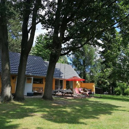 Villa Bleichehof Burg  Exterior foto
