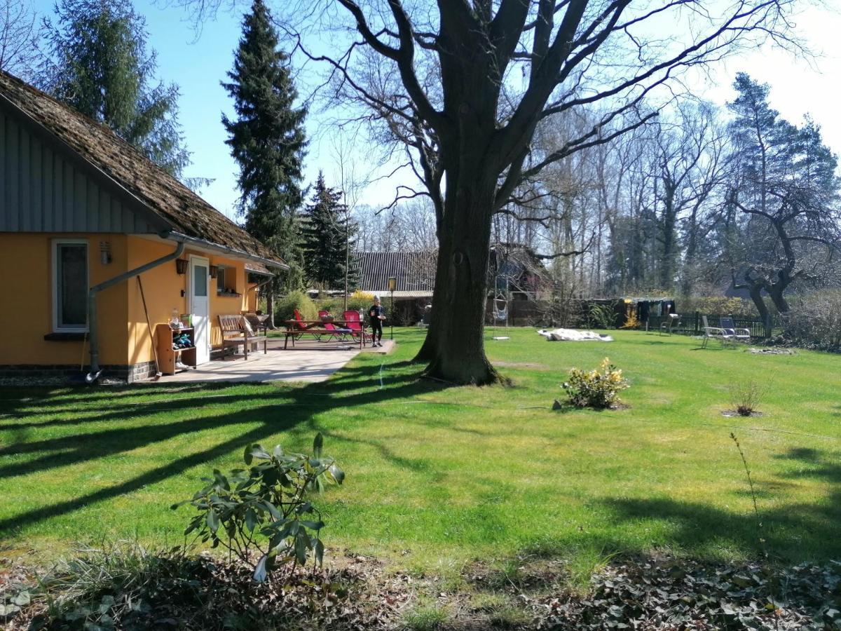 Villa Bleichehof Burg  Exterior foto