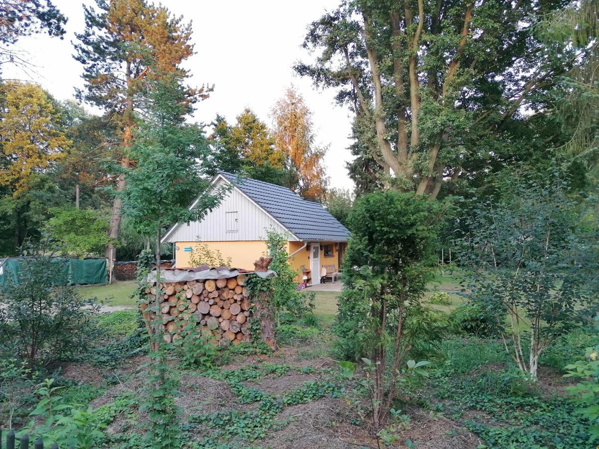 Villa Bleichehof Burg  Exterior foto
